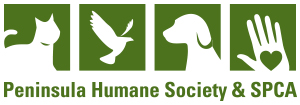 PHS Logo